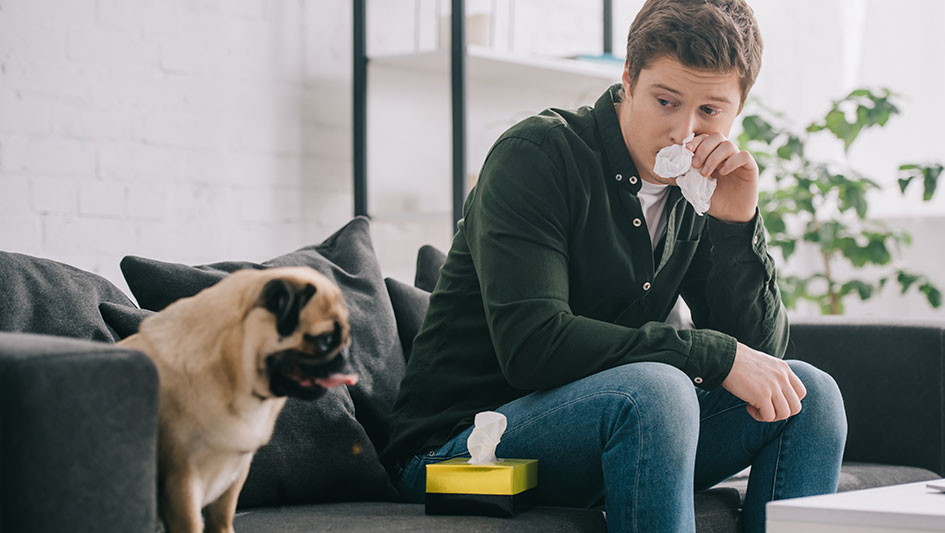 Installing an air purifier is one of the top methods to improve your house’s indoor air quality. Discover more about the three best solutions. 